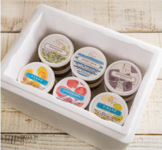 ≪栃木県/Vivo≫イタリアンジェラート(アイスクリーム)＜基本フレーバー12種＞×各1個セット ※配送不可地域あり