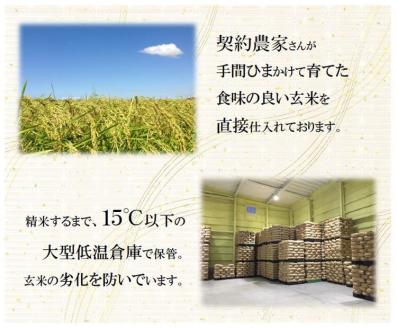 【3ヶ月定期便】【令和5年産】栃木県産こしひかり（精米・5kg×2袋） ※着日指定不可 ※離島への配送不可