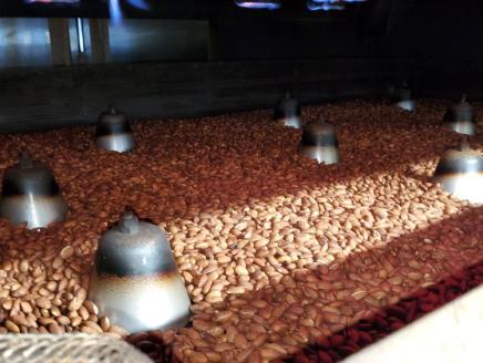 4種の素焼きミックスナッツ 素焼き チャック付き 健康 美容 直火焙煎 煎りたて うさぎや くるみ アーモンド マカデミアナッツ カシューナッツ