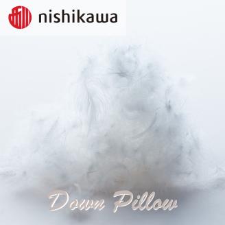 西川のダウンピロー　70×50cm ホワイト　EH22159005W ※着日指定不可 ※離島への配送不可 ※2024年1月下旬以降に順次発送