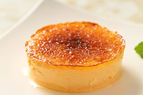 真面目にカタラーナ ※着日指定不可 ※北海道・沖縄・離島への配送不可