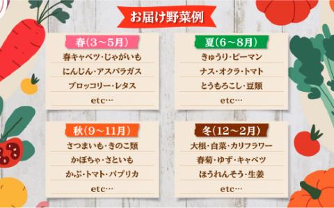【3ヶ月定期便】農産直売所あぜみち 新鮮野菜 詰め合わせ ※着日指定不可