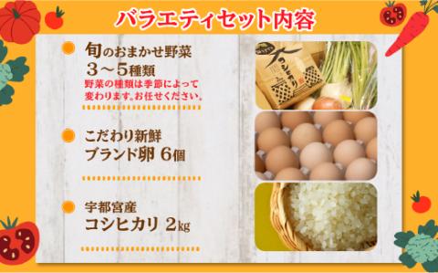 【3ヶ月定期便】米・卵・新鮮野菜バラエティセット ※着日指定不可