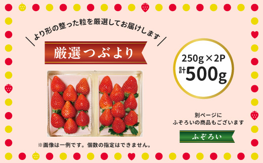 阿部梨園の完熟とちあいか（厳選つぶより） ※離島への配送不可 ※2025年12月上旬～2026年5月中旬頃に順次発送予定