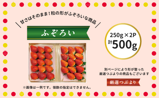 阿部梨園の完熟とちあいか（ふぞろい） ※離島への配送不可 ※2025年12月上旬～2026年5月中旬頃に順次発送予定