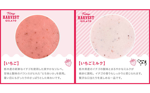 ジェラート「Harvest Gelato」 6個｜いちごジェラート ジェラート アイスクリーム アイスセット スイーツ デザート ミルク 夏ギフト 贈り物 お返し 誕生日 プレゼント ギフト お祝い 結婚 出産 内祝い