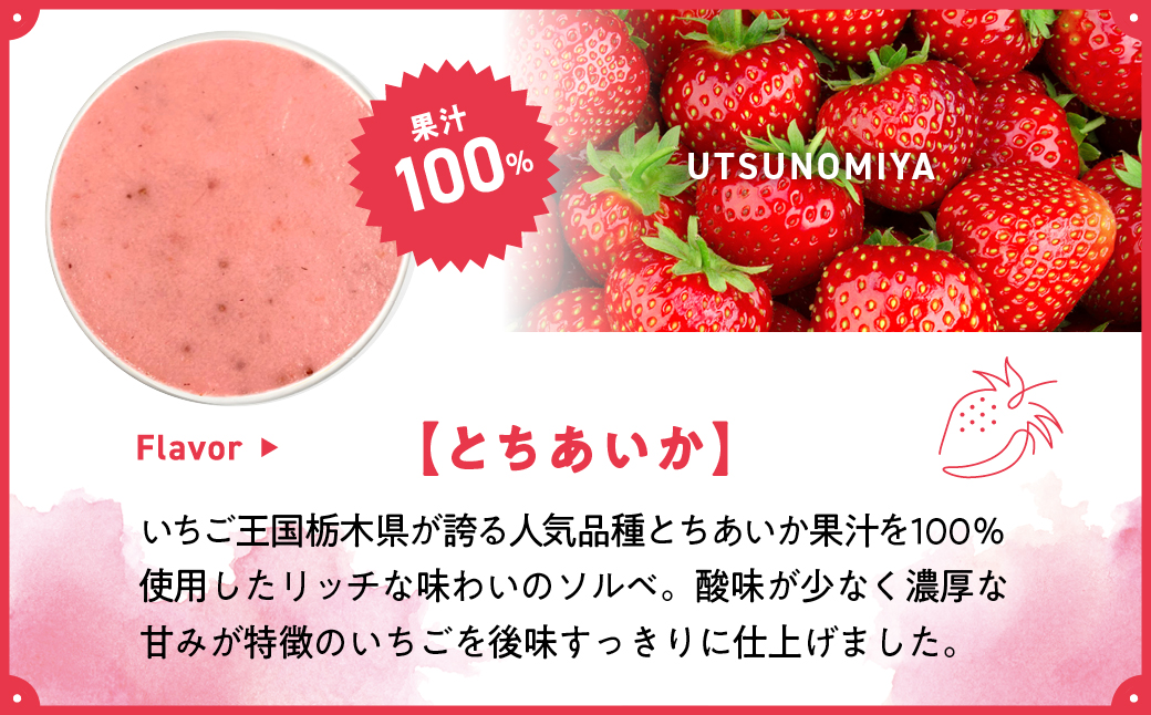 ユアジェラート 宇都宮市×うるま市友好都市記念 オリジナルジェラート 6個セット｜とちあいか マンゴー きび糖 沖縄 琉球 人気 ジェラート 詰め合わせ アイス スイーツ 果汁100% フルーツ プレゼント ギフト 送料無料　※2025年10月上旬～順次発送予定