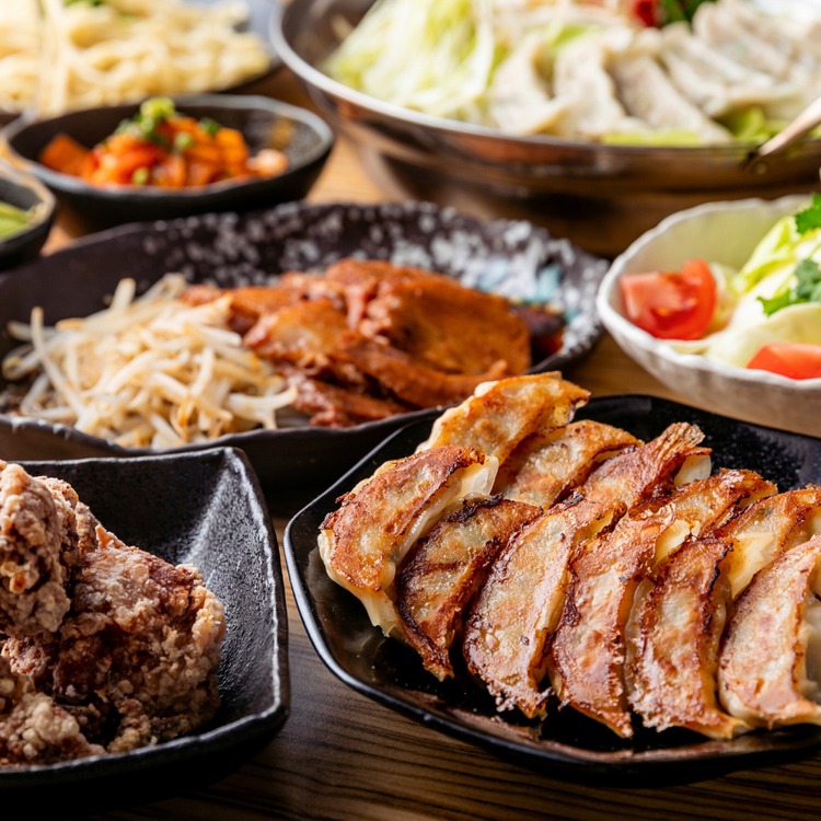 オリオン餃子 餃子 30個入り×1箱