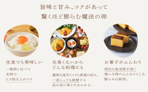 【7ケ月定期便】磨宝卵GOLD/贈答箱 30個入｜ たまご 卵 鶏卵 定期便 栃木県 宇都宮市 ※離島への配送不可