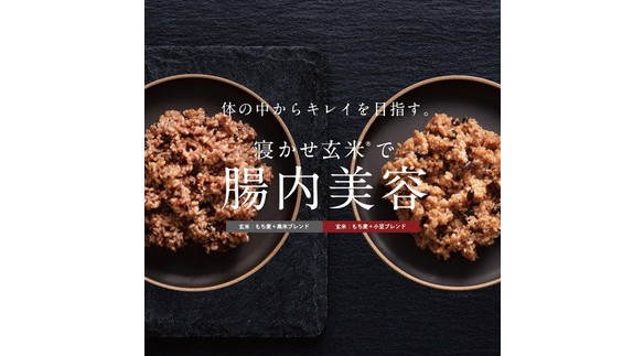 MOCCHIRI BROWN RICE（寝かせ玄米※） 30食黒米ブレンド単品