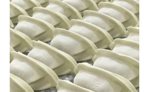 宇都宮餃子 宇味家のぎょうざ　(生冷凍)　[20g×24個入り 1箱]