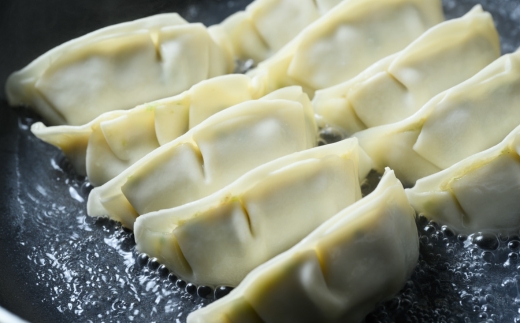 餃子20個入り×5箱（100個） | ふるさと納税 餃子 冷凍 ギョウザ 冷凍食品 惣菜 お取り寄せ グルメ 送料無料 宇都宮 栃木県