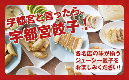 【12ヶ月定期便】宇都宮餃子　32店舗定期便　計700個以上 ｜ ぎょうざ 冷凍餃子 冷凍食品 惣菜 栃木県 宇都宮市 ※着日指定不可