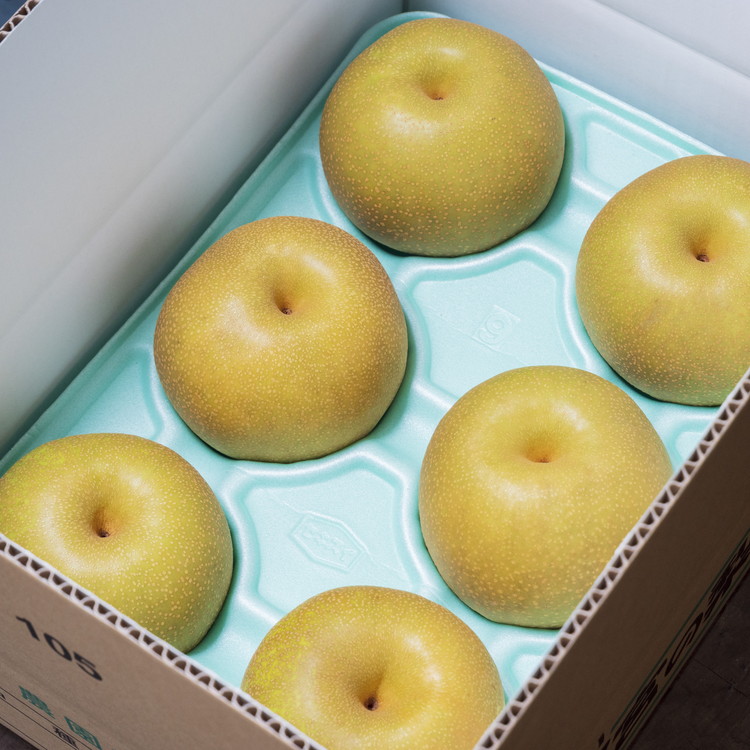 【家庭用】品種おまかせ 梨 3kg 幸水 豊水 秋月 甘太 にっこり｜ 栃木県産 果物 フルーツ　※離島への配送不可