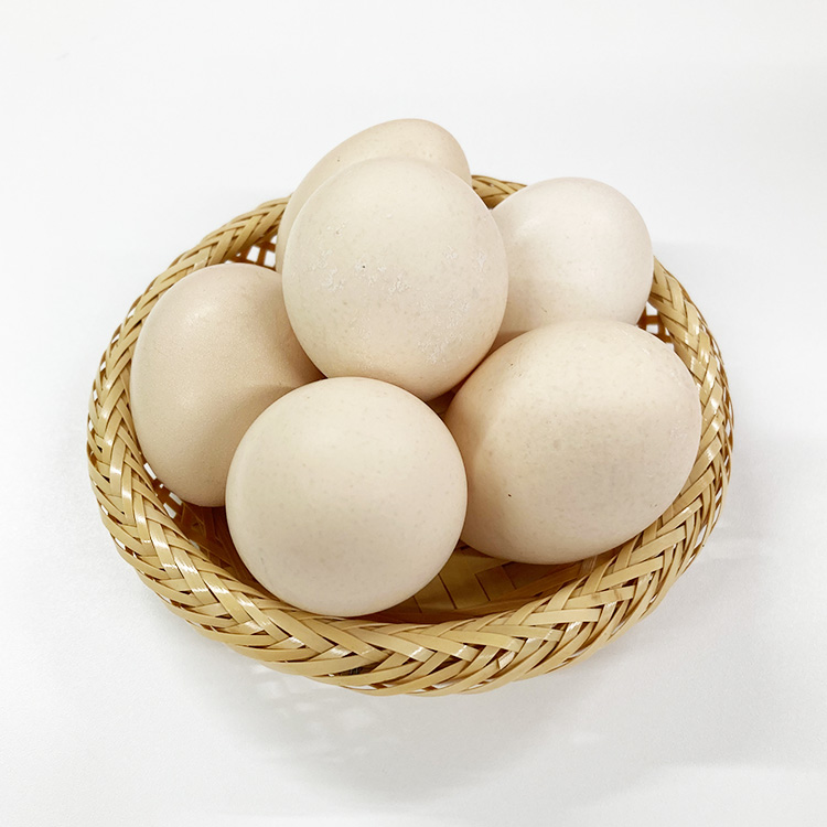 【定期便12ヶ月】烏骨鶏　濃厚な黄身！爽やかな白身が自慢！【烏骨鶏輝翔卵】20玉らくらく定期便 ◇ ※離島への配送不可