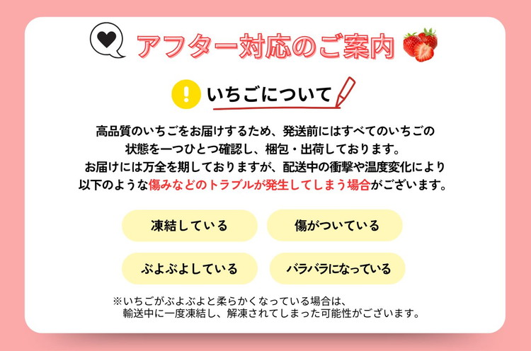 とちあいか 300g×2パック ｜ いちご 栃木 甘い 糖度 旬 新鮮 フルーツ 果物 アレンジ スイーツ いちごジャム フルーツサンド ※2025年12月下旬～2026年3月下旬頃に順次発送予定 ※北海道・沖縄・離島への配送不可