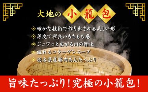 これが大地の小籠包です　計18個入り(1箱6個入り×3箱)