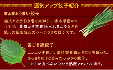 宇都宮餃子 運気アップ餃子  香り鮮やか 青じそ鶏餃子 90個 保存料不使用【 餃子 ぎょうざ 冷凍餃子 冷凍食品 惣菜 栃木県 宇都宮市 】※配送不可地域：離島
