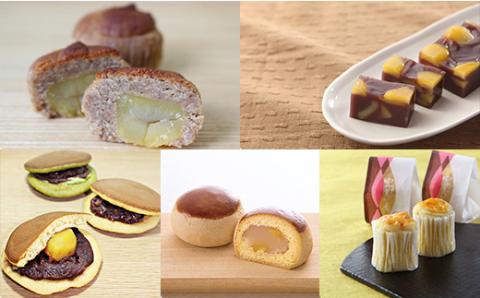 いも栗和菓子ギフト1 ※着日指定不可 ※2023年12月上旬～2024年1月下旬頃に順次発送予定