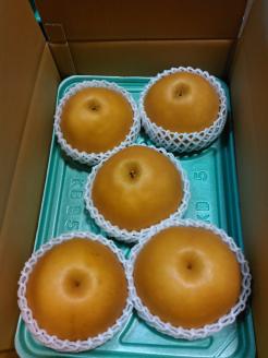 【先行予約】栃木県産　大玉の梨【にっこり】5kg サイズ：7～5玉 ※北海道・沖縄・離島への配送不可 ※2025年10月下旬～11月下旬頃に順次発送予定