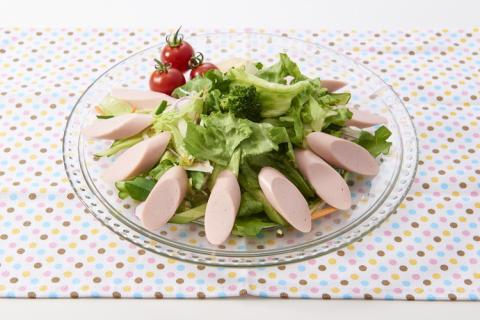 DHA入りリサーラソーセージ　計30本｜健康 ダイエット ヘルシー 中性脂肪 コレステロール 朝ごはん 昼ごはん 夜ごはん おかず サラダ トースト ちょい足し ※着日指定不可