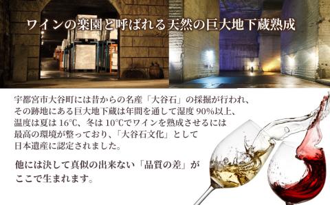 大谷の天然地下蔵で深みを増すワイン シャトーマルゴー 1999 ボルドー 1本 ｜ 赤ワイン お酒 ギフト 栃木県 宇都宮市 ※離島への配送不可