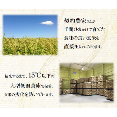 【令和7年産】栃木県産とちぎの星 （精米）5kg×2袋 ｜ お米 白米 一等米 送料無料 栃木県 宇都宮市　※離島への配送不可
