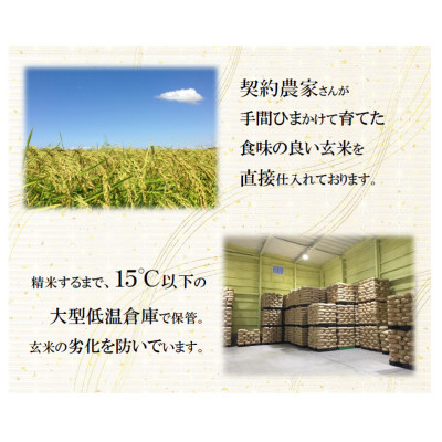 【令和7年産】栃木県産とちぎの星（精米）5kg×1袋 ｜ お米 白米 一等米 送料無料 栃木県 宇都宮市　※離島への配送不可