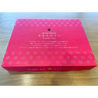 【先行予約】スカイベリー 約390g～430g×2パック | いちご 栃木 スカイベリー 大粒 大きい いちご 苺 イチゴ 栃木 果物 甘い 評判 鮮度 抜群 好評 人気 アレンジ アフター対応あり※離島への配送不可 ※2026年1月中旬～3月下旬頃に順次発送予定