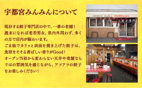 【宇都宮みんみん】　餃子30個入り×2箱【配送不可地域：離島】◇