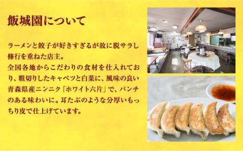 【飯城園】　餃子24個入り×2箱