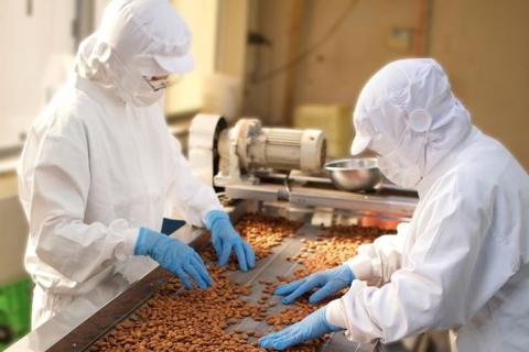 アーモンド多めの3種の素焼きミックスナッツ 1.4kg(700g×2袋) 素焼き チャック付き 健康 美容 直火焙煎 煎りたて うさぎや くるみ アーモンド カシューナッツ