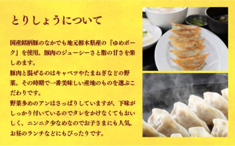 【とりしょう】餃子　24個入り【 ぎょうざ 冷凍餃子 冷凍食品 惣菜 栃木県 宇都宮市 】 ※着日指定不可 ※北海道・沖縄・離島への配送不可