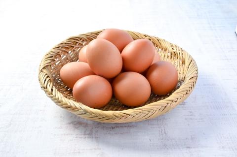 【6ヶ月定期便】黄身は濃厚、白身あっさり爽やか こだわり卵【輝翔卵】20玉×6ヶ月 合計120玉 ※着日指定不可 ※離島への配送不可