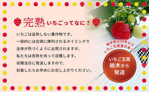 阿部梨園の完熟とちあいか（ふぞろい） ※離島への配送不可 ※2025年12月上旬～2026年5月中旬頃に順次発送予定