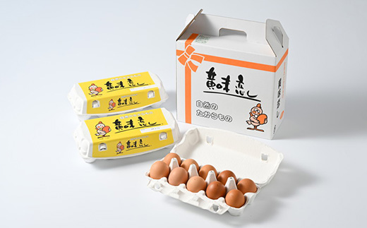 【4ヶ月定期便】赤玉卵「自然のたからもの　黄味恋し」1ケース（10個入り×3パック）×4ヶ月 ※離島への配送不可