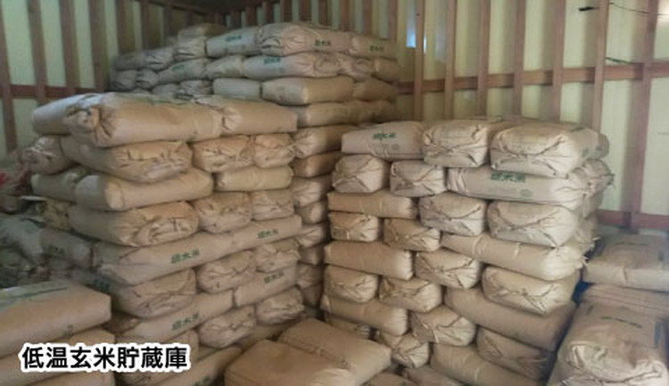 【6ヶ月定期便】栃木県産コシヒカリ 「米屋の越光」5kg×6ヶ月 ◇