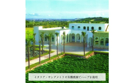 オーガニックハーブウォーター500mlカモミール×24本