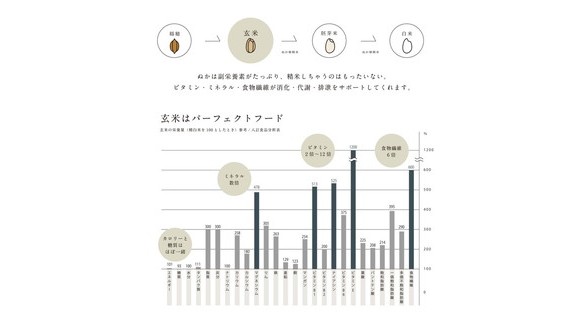 MOCCHIRI BROWN RICE（寝かせ玄米※） 30食小豆ブレンド単品