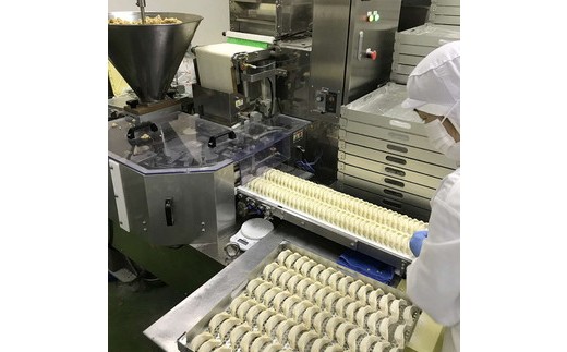 【定期便12ヶ月】宇都宮餃子 宇味家のぎょうざ　(生冷凍)　[20g×24個入り 2箱×12ヶ月]