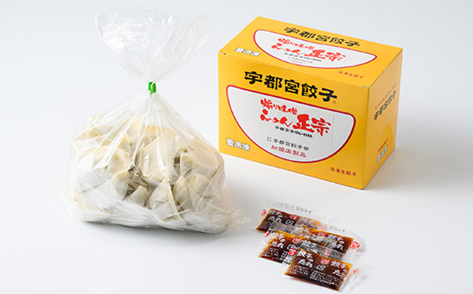 餃子20個入り×5箱（100個） | ふるさと納税 餃子 冷凍 ギョウザ 冷凍食品 惣菜 お取り寄せ グルメ 送料無料 宇都宮 栃木県