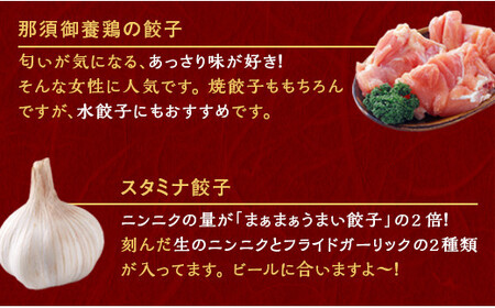 宇都宮餃子 運気アップ餃子  チーズ鶏餃子 18個 保存料不使用【 餃子 ぎょうざ 冷凍餃子 冷凍食品 惣菜 栃木県 宇都宮市 】※配送不可地域：離島