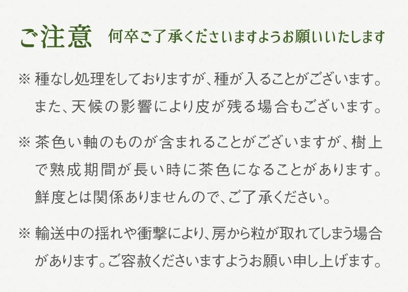 シャインマスカット 約1.2kg　※2025年9月中旬頃より順次発送予定