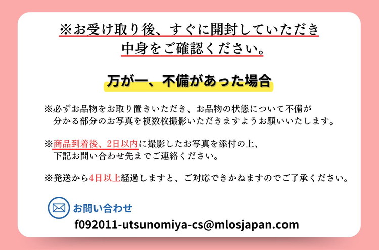 とちあいか 300g×2パック ｜ いちご 栃木 甘い 糖度 旬 新鮮 フルーツ 果物 アレンジ スイーツ いちごジャム フルーツサンド ※2025年12月下旬～2026年3月下旬頃に順次発送予定 ※北海道・沖縄・離島への配送不可