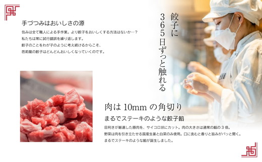 【3ヶ月定期便】芭莉龍の冷凍餃子【4人前】 ※着日指定不可