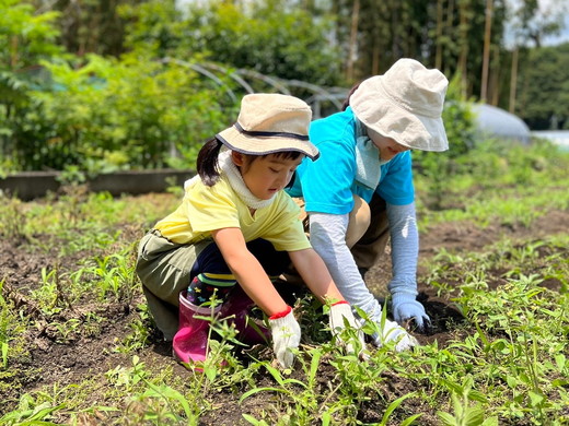 UTSUNOMIYA BASE農業、収穫体験