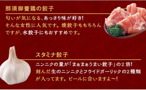 宇都宮餃子 運気アップ餃子  豚餃子 3種類(合計54個)【 餃子 食べ比べセット 冷凍餃子 冷凍食品 惣菜 栃木県 宇都宮市 】※配送不可地域：離島