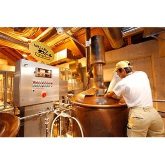 宇都宮 クラフトビール 宇都宮産麦芽100%コンビ 10本セット(各330ml)【 ビール ギフト 飲み比べ 栃木県 宇都宮市 】※離島への配送不可