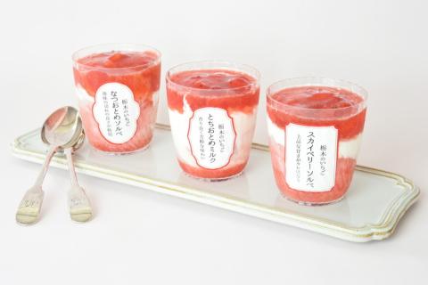 栃木のいちごジェラート食べ比べセット ※離島への配送不可 ※着日指定不可