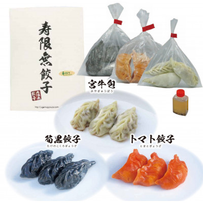 宇都宮餃子 寿限無 宇都宮特産餃子セット(3種×各3個・計9個入り)